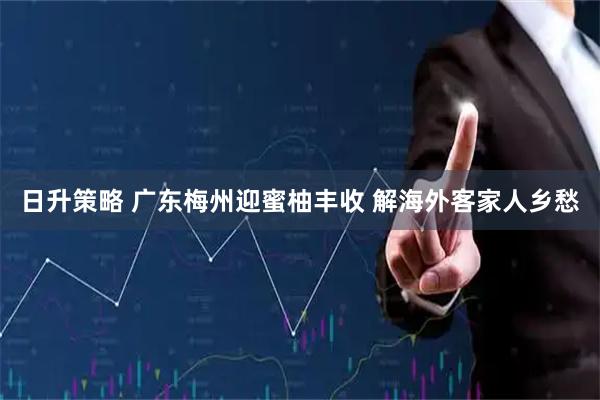 日升策略 广东梅州迎蜜柚丰收 解海外客家人乡愁