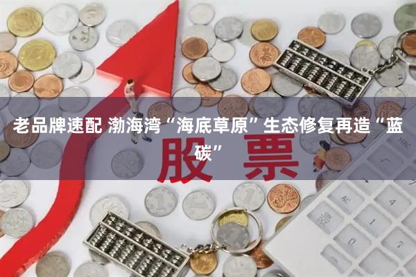 老品牌速配 渤海湾“海底草原”生态修复再造“蓝碳”