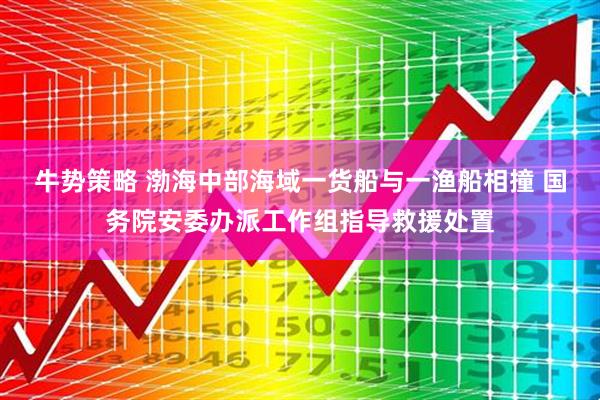 牛势策略 渤海中部海域一货船与一渔船相撞 国务院安委办派工作组指导救援处置