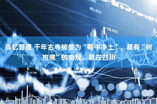 高忆管理 千年古寺被誉为“蜀中净土”，藏有“树抱佛”的奇观，就在四川