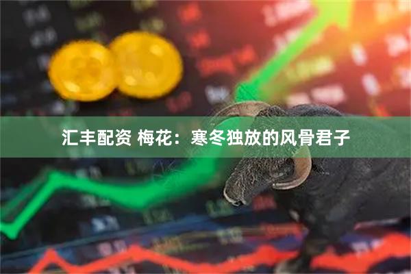 汇丰配资 梅花：寒冬独放的风骨君子