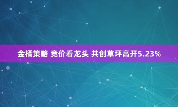 金橘策略 竞价看龙头 共创草坪高开5.23%