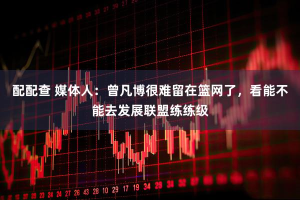 配配查 媒体人：曾凡博很难留在篮网了，看能不能去发展联盟练练级